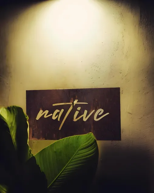 Native by Cliff and Coral - Image 1