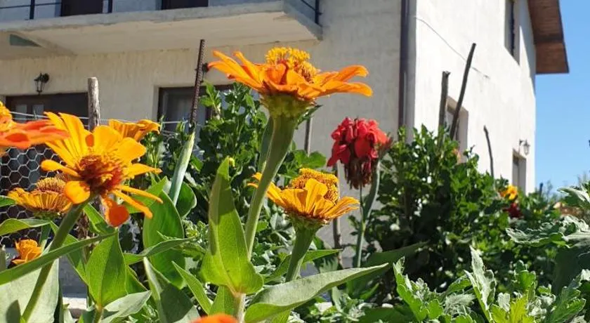 PENSIUNEA AGROTURISTICĂ ANGHELIKI - Image 1