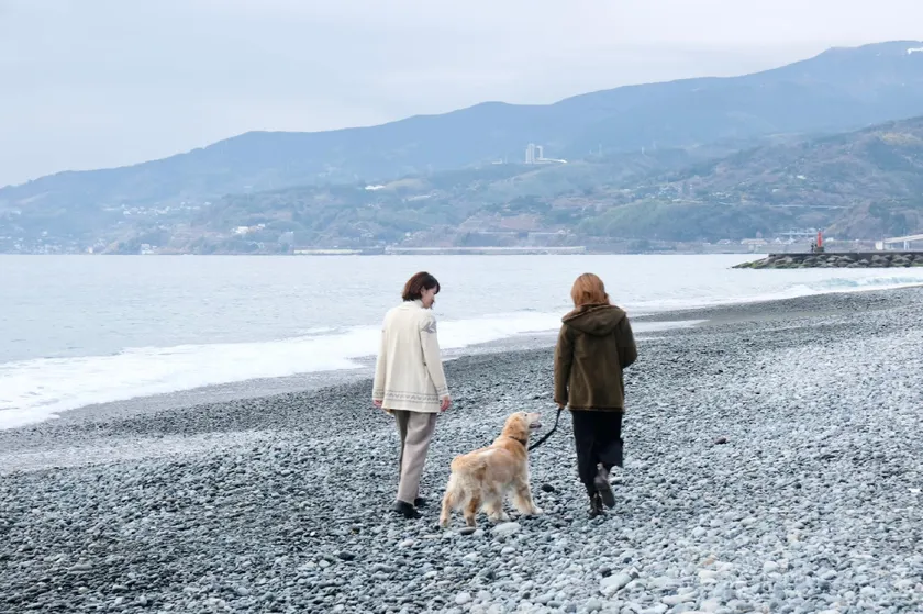 いぬと海辺 - Image 1