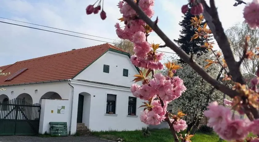 Fűszeres Porta - Image 1