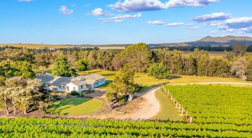 Broke in the Vines - Image 1