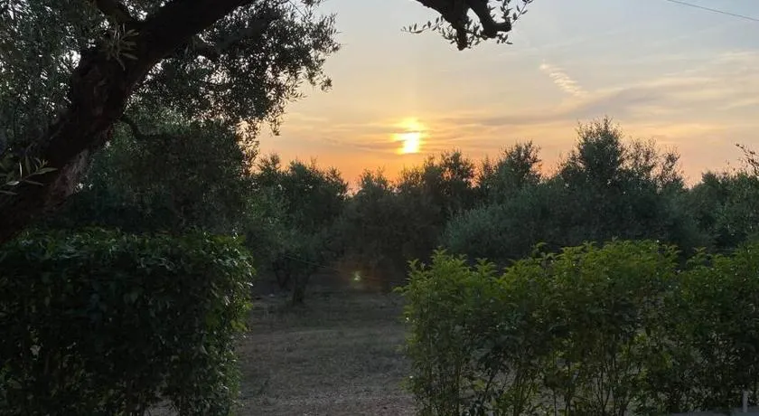 Rustic- Chic Villa in a Private Olive Grove - Filiatra - Image 1