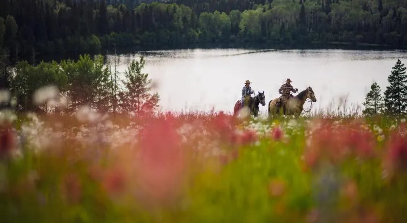 Montana Hill Guest Ranch - Image 1