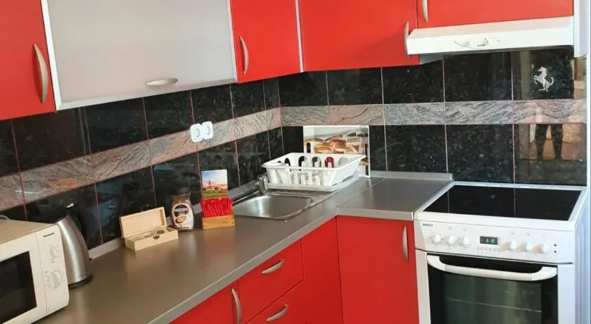 Apartman Goran - 130m Radiochirurgia - Image 1
