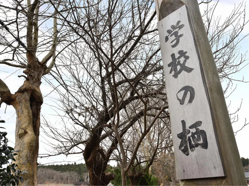 Gakkou no Sumika - Image 1
