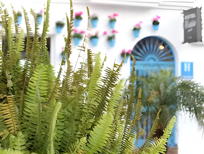 Boutique Hotel Pueblo - Image 1