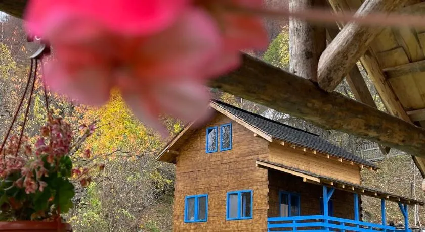 Casa Brună - Image 1