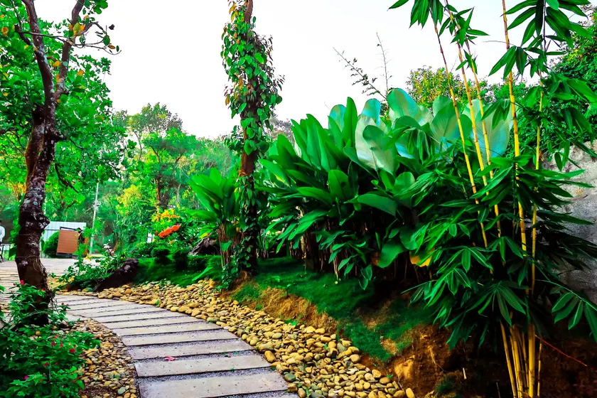 La Vista Resorts - Image 1