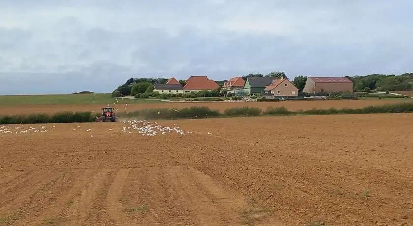 La ferme des 4 vents - Image 1