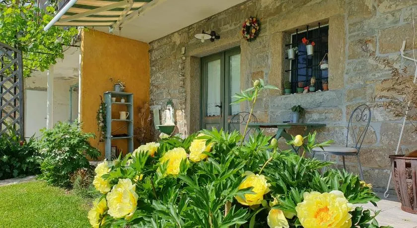 Top relax house - Image 1