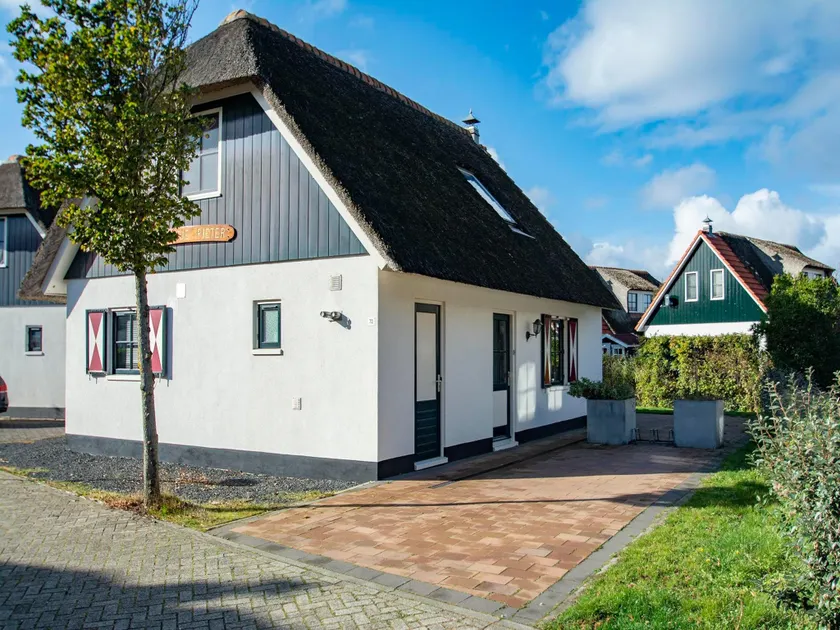 Villa Schaut - Villapark De Buitenplaats Callantsoog aan Zee - Image 1