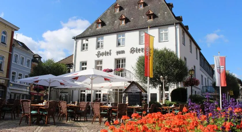 Hotel Zum Stern - Image 1
