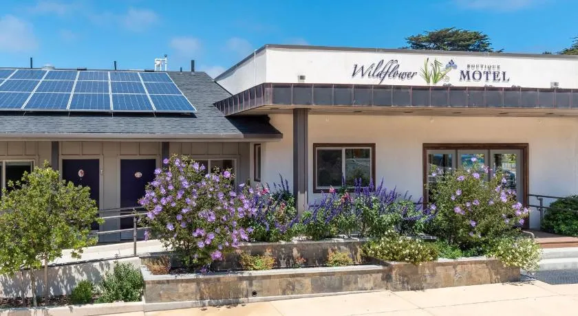 Wildflower Boutique Motel - Image 1