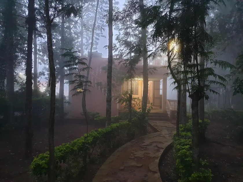 Cabin in the woods - Image 1