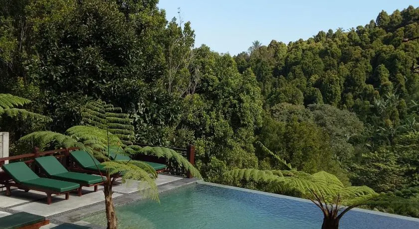 BINTANG MUNDUK - Image 1