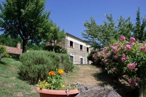 La Rosa Nel Bicchiere - Image 1