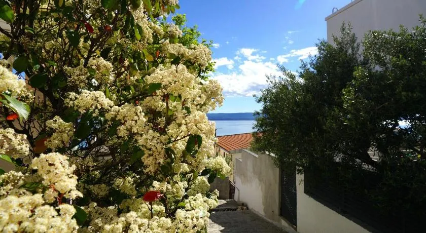 Apartment Lile - Image 1