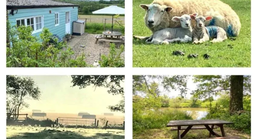 Park Farm Chalet - Image 1