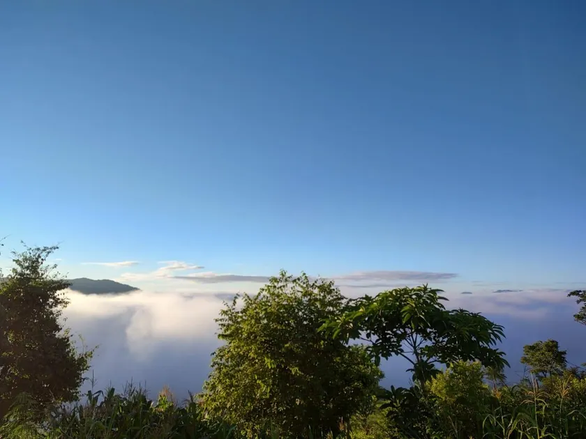 Green Zone homestay - Image 1