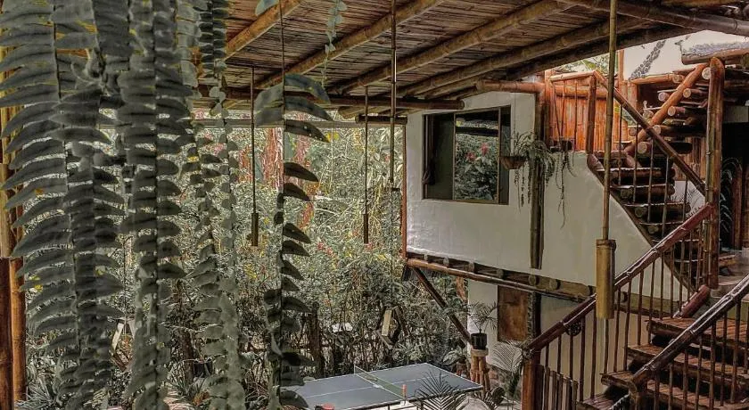 Cinnamon House - Image 1
