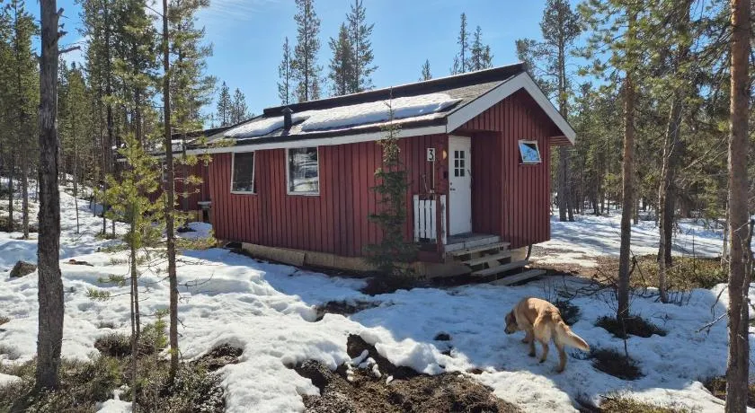 Aurora Camp Kiruna - Image 1