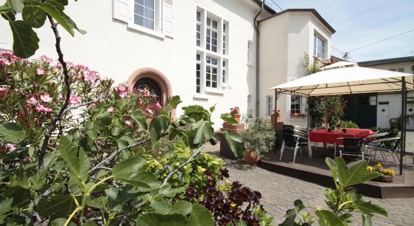 Bio-Weingut, Gästehaus und Kräuterhof - Image 1