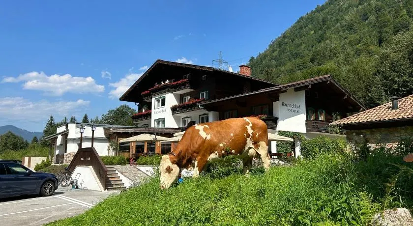 Pension Baranekhof - Accommodation in Nature with Mountain Views - Baranek Resorts - Image 1