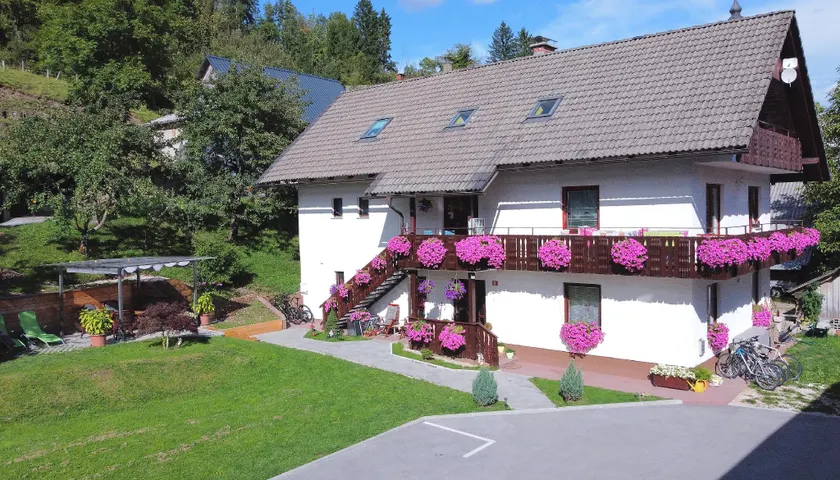 Apartments Lake Bohinj Medja - Image 1