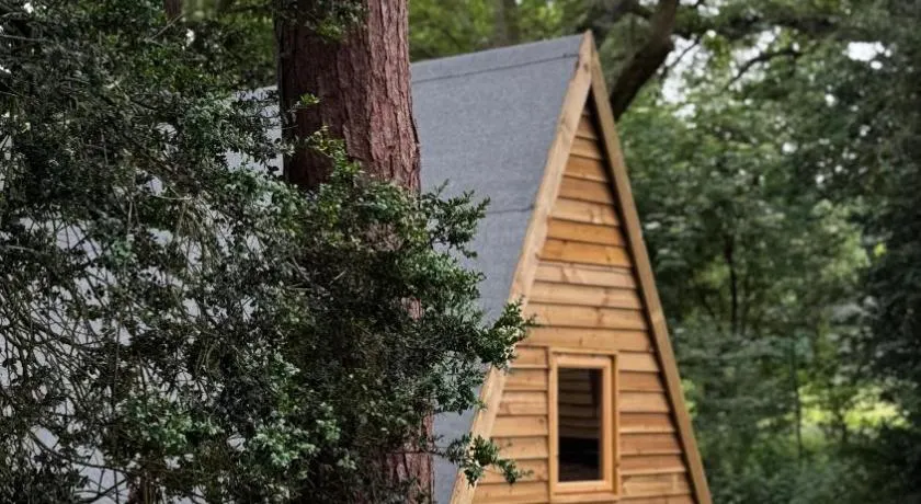 Little Brook Glamping - Image 1