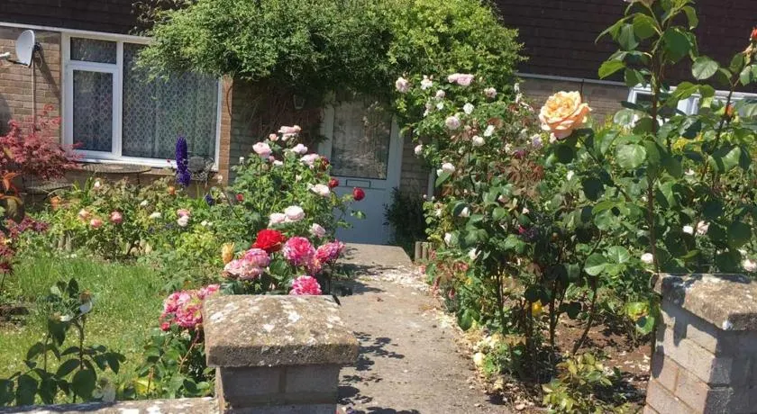 Annie’s House in Amesbury - Image 1
