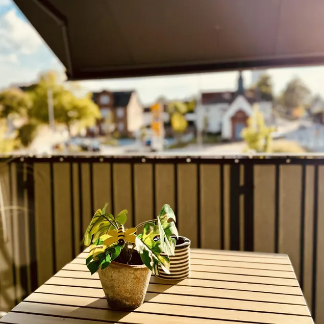 Kapellenblick Seligenstadt - Image 1