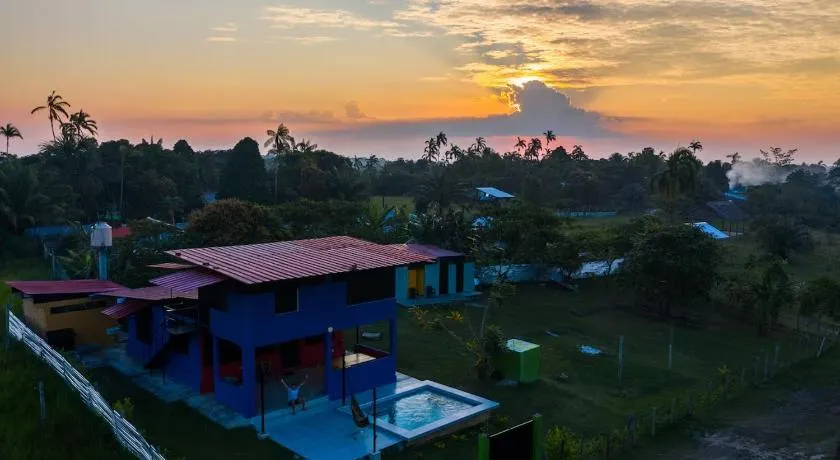 Guacamayo Azul - Image 1