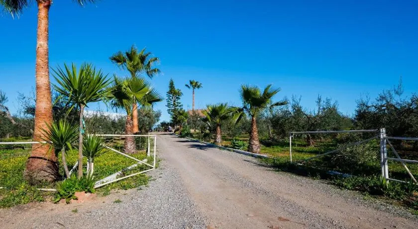 El Paraíso Del Olivar - Image 1