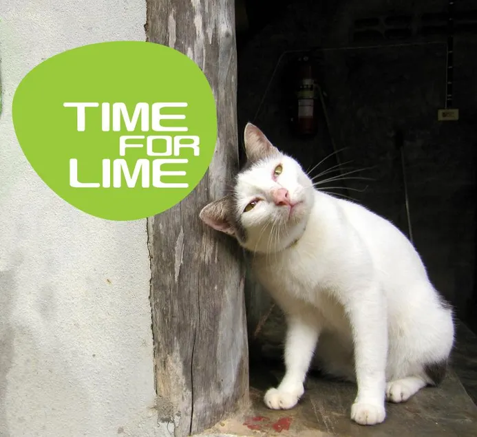 Time For Lime - Image 1