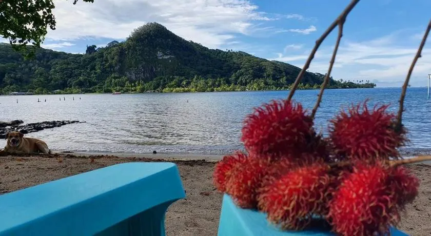 RAIATEA Opoa, Fare Rêvé, Maison ,Plage & Bord de mer privatifs - Image 1