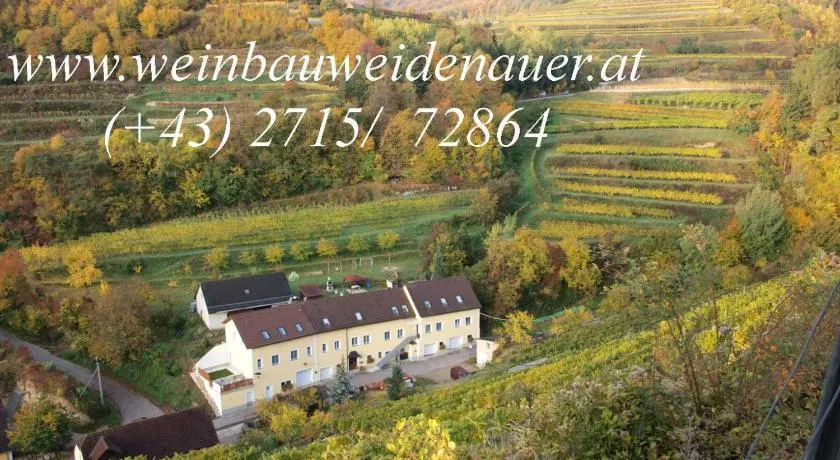 Weinbau Weidenauer - Image 1