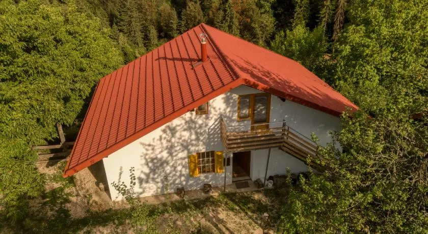Cottage surrounded by forests - The Sunny Hill - Image 1