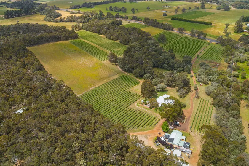Island Brook Estate Vineyard and Chalets - Image 1