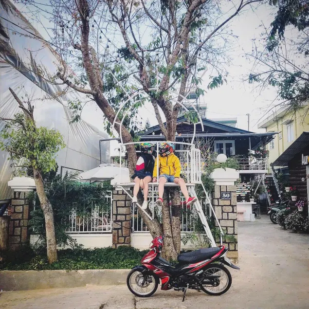 Aurora Homestay - Image 1