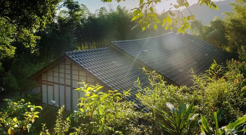 Bamboo House - Image 1