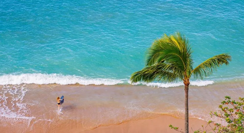 KBM Resorts FREE CAR Sands of Kahana Ocean view 3-Bedroom Condo Penthouse Recently Remodeled SOK-292 - Image 1