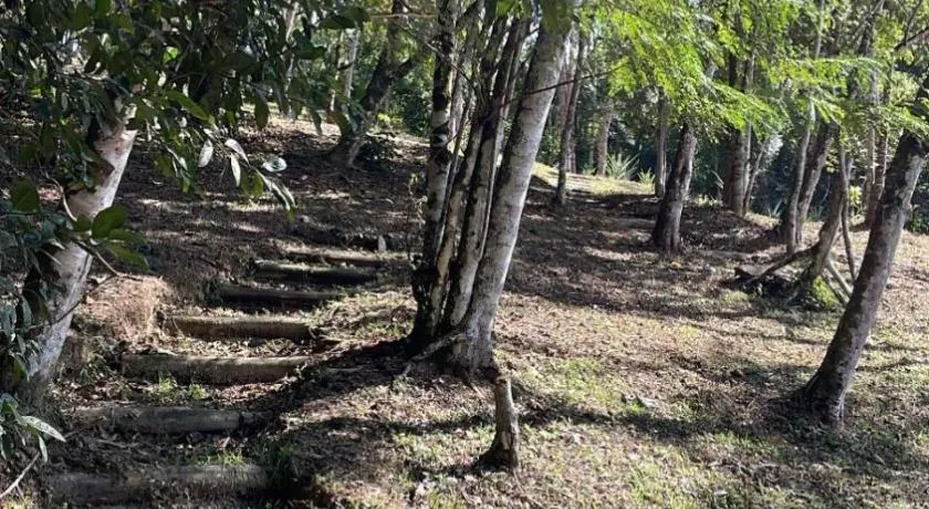 Vila Dravida Petar - Image 1