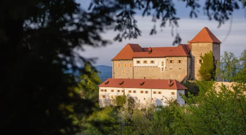 Rooms & Apartments Podsreda Castle - Image 1