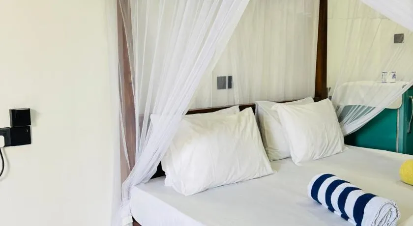 Alovera inn weligama - Image 1