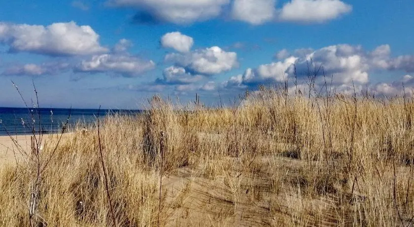 ISLAND4U - Image 1