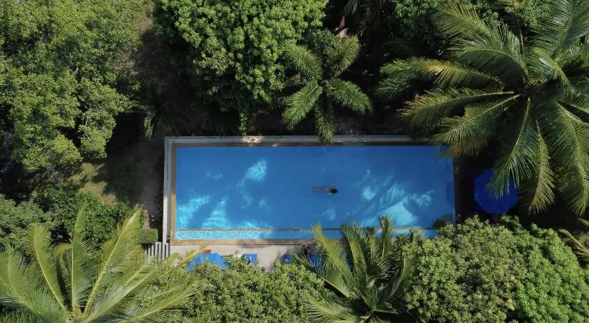 PawPaw Resort - Image 1