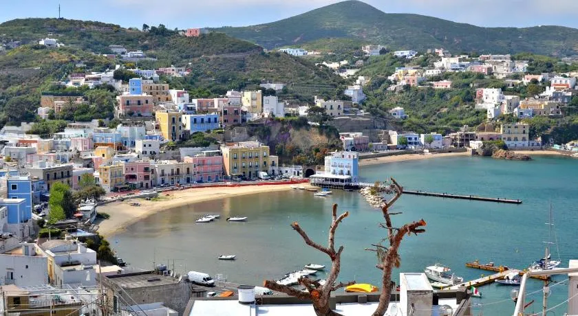 Maridea - Biscaglina - Image 1