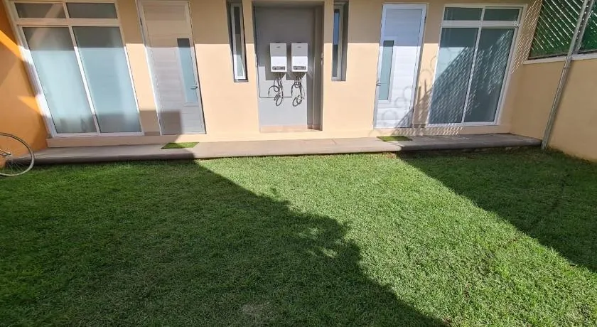 Acogedor loft privado en Coyoacán - Image 1