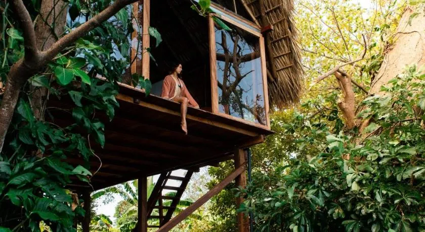 El Pital, Chocolate Paradise - Image 1
