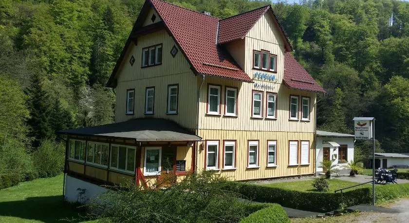 Pension Waldfrieden - Image 1